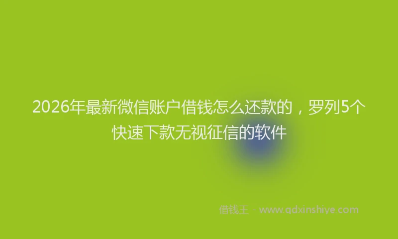 2026年最新微信账户借钱怎么还款的，罗列5个快速下款无视征信的软件