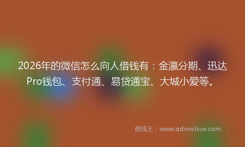 2026年的微信怎么向人借钱有：金瀛分期、迅达Pro钱包、支付通、易贷通宝、大城小爱等。