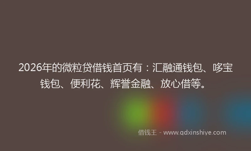 2026年的微粒贷借钱首页有：汇融通钱包、哆宝钱包、便利花、辉誉金融、放心借等。