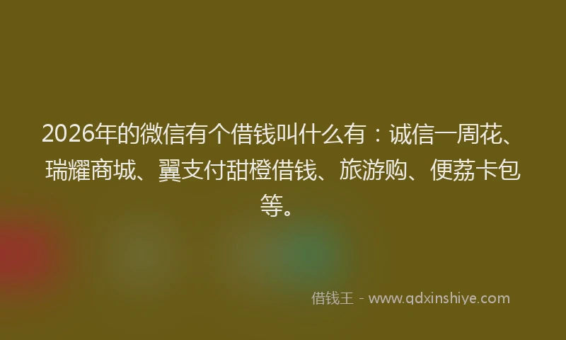 2026年的微信有个借钱叫什么有：诚信一周花、瑞耀商城、翼支付甜橙借钱、旅游购、便荔卡包等。