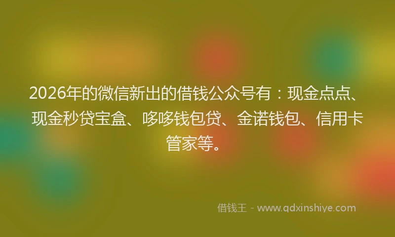 2026年的微信新出的借钱公众号有：现金点点、现金秒贷宝盒、哆哆钱包贷、金诺钱包、信用卡管家等。
