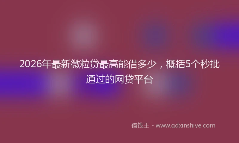 2026年最新微粒贷最高能借多少，概括5个秒批通过的网贷平台