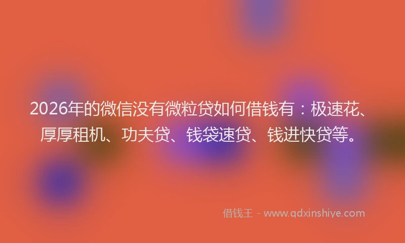 2026年的微信没有微粒贷如何借钱有：极速花、厚厚租机、功夫贷、钱袋速贷、钱进快贷等。
