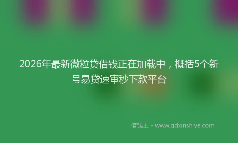 2026年最新微粒贷借钱正在加载中，概括5个新号易贷速审秒下款平台
