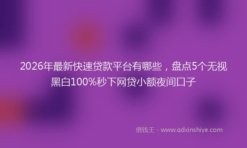 2026年最新快速贷款平台有哪些，盘点5个无视黑白100%秒下网贷小额夜间口子