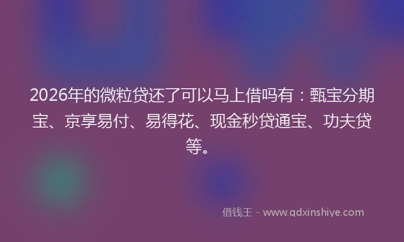 2026年的微粒贷还了可以马上借吗有：甄宝分期宝、京享易付、易得花、现金秒贷通宝、功夫贷等。