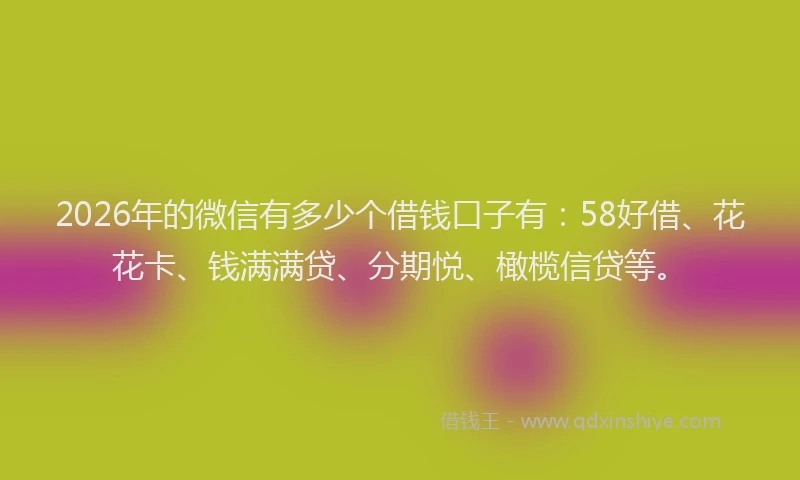 2026年的微信有多少个借钱口子有：58好借、花花卡、钱满满贷、分期悦、橄榄信贷等。