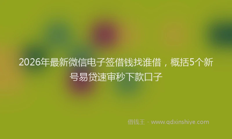 2026年最新微信电子签借钱找谁借，概括5个新号易贷速审秒下款口子