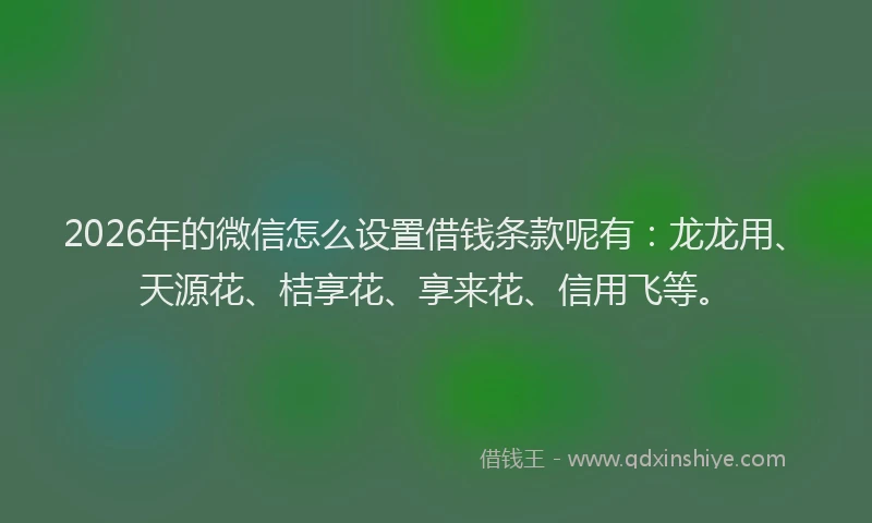 2026年的微信怎么设置借钱条款呢有：龙龙用、天源花、桔享花、享来花、信用飞等。