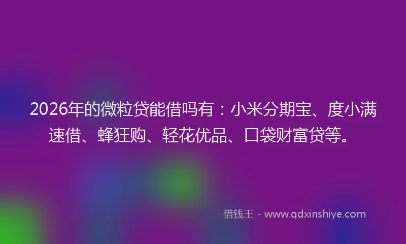 2026年的微粒贷能借吗有：小米分期宝、度小满速借、蜂狂购、轻花优品、口袋财富贷等。