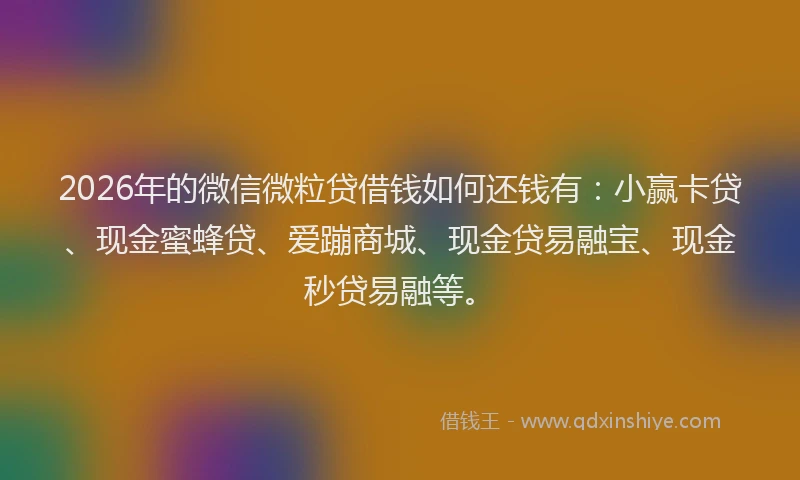 2026年的微信微粒贷借钱如何还钱有：小赢卡贷、现金蜜蜂贷、爱蹦商城、现金贷易融宝、现金秒贷易融等。