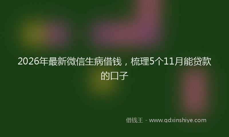 2026年最新微信生病借钱，梳理5个11月能贷款的口子