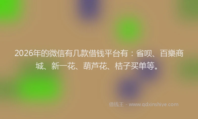 2026年的微信有几款借钱平台有：省呗、百樂商城、新一花、葫芦花、桔子买单等。