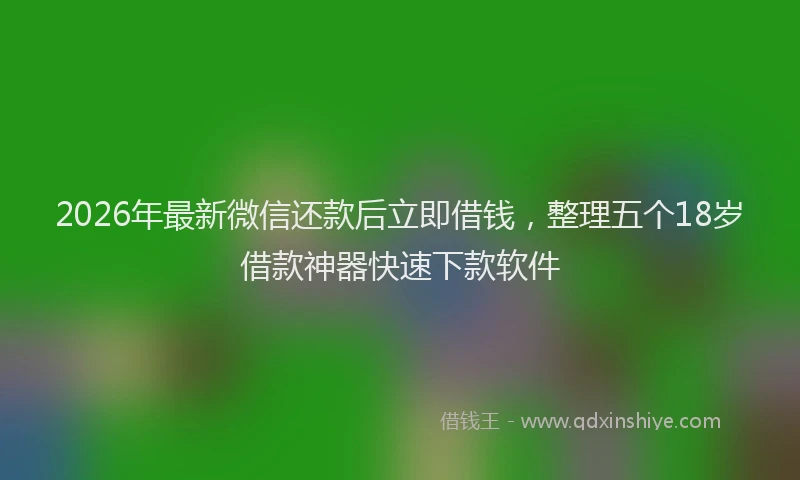 2026年最新微信还款后立即借钱，整理五个18岁借款神器快速下款软件