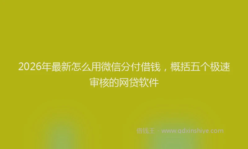 2026年最新怎么用微信分付借钱，概括五个极速审核的网贷软件