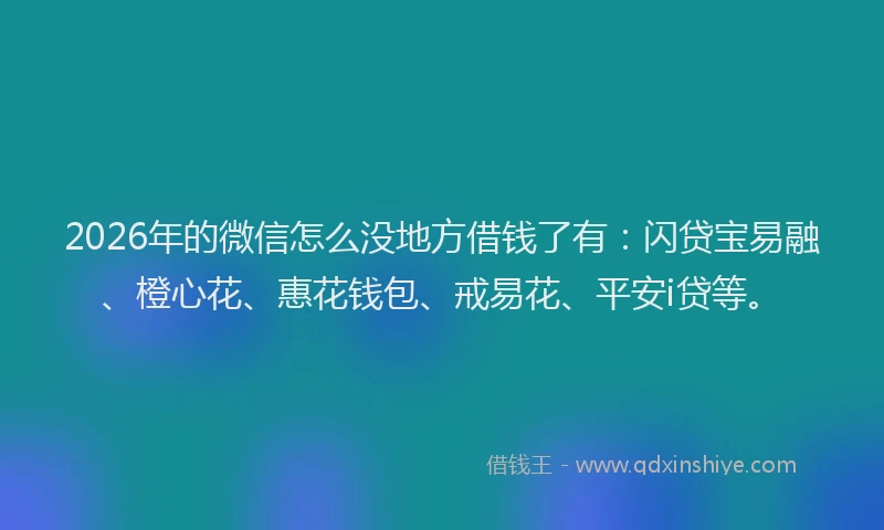 2026年的微信怎么没地方借钱了有：闪贷宝易融、橙心花、惠花钱包、戒易花、平安i贷等。