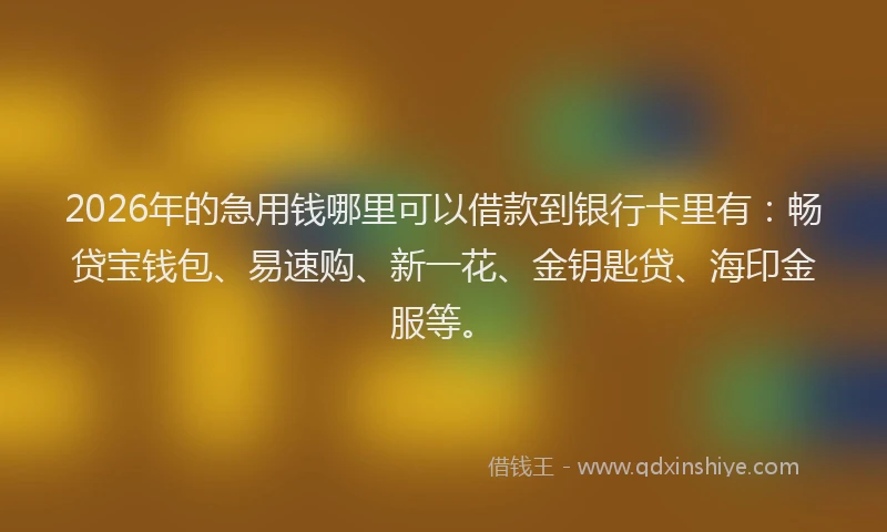 2026年的急用钱哪里可以借款到银行卡里有:畅贷宝钱包、易速购、新一花、金钥匙贷、海印金服等。