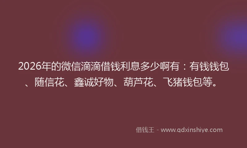 2026年的微信滴滴借钱利息多少啊有：有钱钱包、随信花、鑫诚好物、葫芦花、飞猪钱包等。