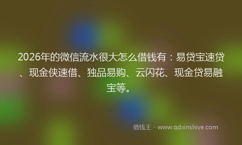 2026年的微信流水很大怎么借钱有：易贷宝速贷、现金侠速借、独品易购、云闪花、现金贷易融宝等。