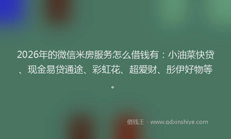 2026年的微信米房服务怎么借钱有：小油菜快贷、现金易贷通途、彩虹花、超爱财、彤伊好物等。