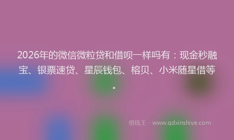 2026年的微信微粒贷和借呗一样吗有：现金秒融宝、银票速贷、星辰钱包、榕贝、小米随星借等。