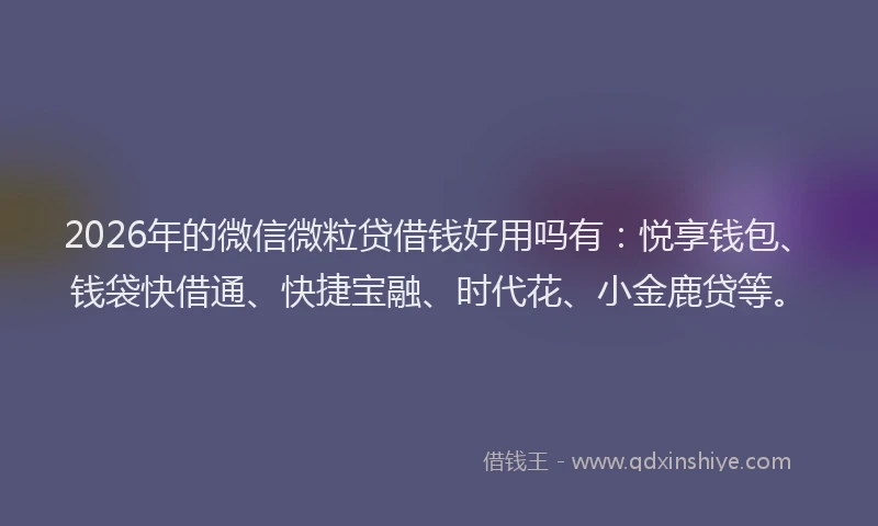 2026年的微信微粒贷借钱好用吗有：悦享钱包、钱袋快借通、快捷宝融、时代花、小金鹿贷等。