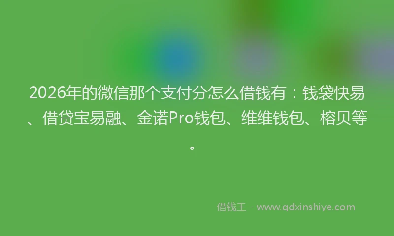 2026年的微信那个支付分怎么借钱有：钱袋快易、借贷宝易融、金诺Pro钱包、维维钱包、榕贝等。