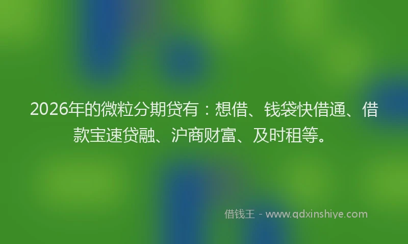 2026年的微粒分期贷有：想借、钱袋快借通、借款宝速贷融、沪商财富、及时租等。