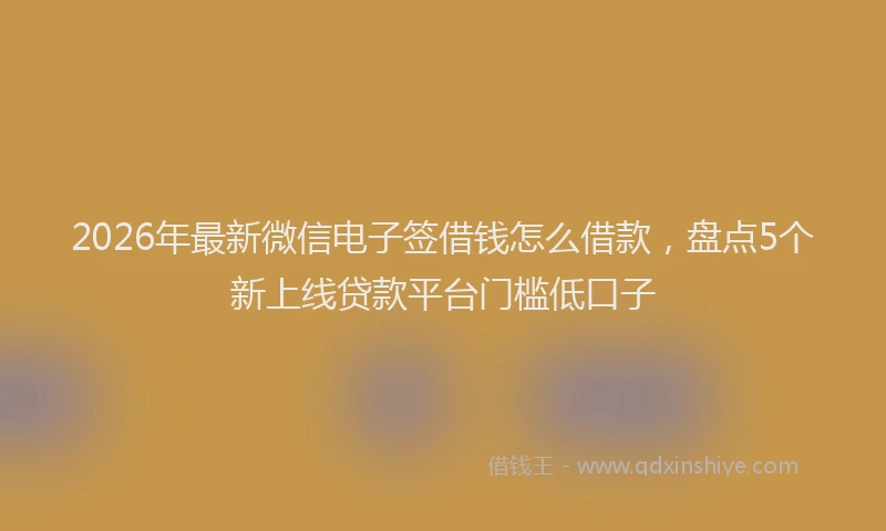2026年最新微信电子签借钱怎么借款，盘点5个新上线贷款平台门槛低口子