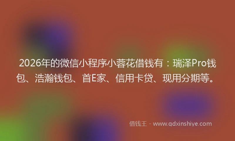 2026年的微信小程序小蓉花借钱有：瑞泽Pro钱包、浩瀚钱包、首E家、信用卡贷、现用分期等。