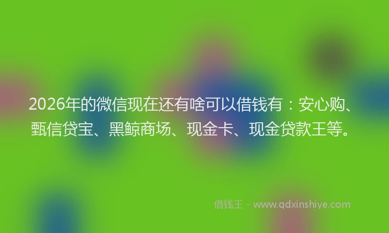 2026年的微信现在还有啥可以借钱有：安心购、甄信贷宝、黑鲸商场、现金卡、现金贷款王等。