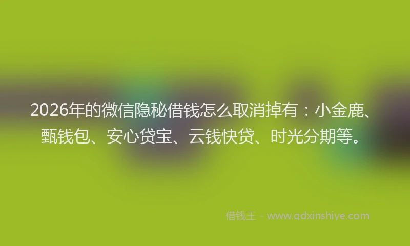 2026年的微信隐秘借钱怎么取消掉有：小金鹿、甄钱包、安心贷宝、云钱快贷、时光分期等。