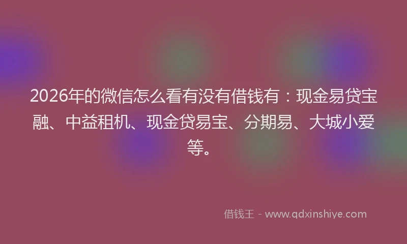 2026年的微信怎么看有没有借钱有：现金易贷宝融、中益租机、现金贷易宝、分期易、大城小爱等。