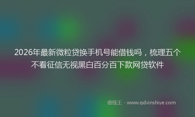 2026年最新微粒贷换手机号能借钱吗，梳理五个不看征信无视黑白百分百下款网贷软件