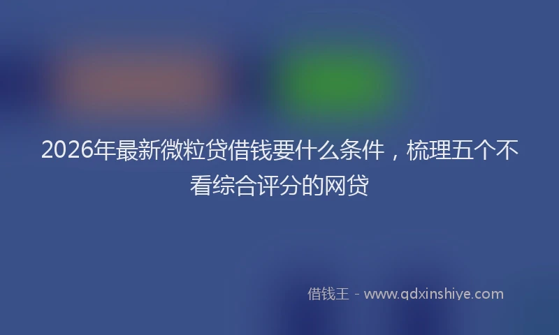 2026年最新微粒贷借钱要什么条件，梳理五个不看综合评分的网贷