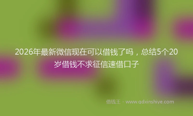 2026年最新微信现在可以借钱了吗，总结5个20岁借钱不求征信速借口子