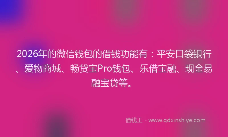 2026年的微信钱包的借钱功能有：平安口袋银行、爱物商城、畅贷宝Pro钱包、乐借宝融、现金易融宝贷等。