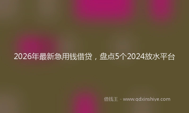 2026年最新急用钱借贷,盘点5个2024放水平台