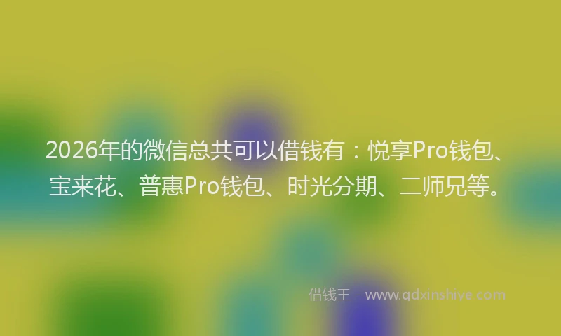 2026年的微信总共可以借钱有：悦享Pro钱包、宝来花、普惠Pro钱包、时光分期、二师兄等。