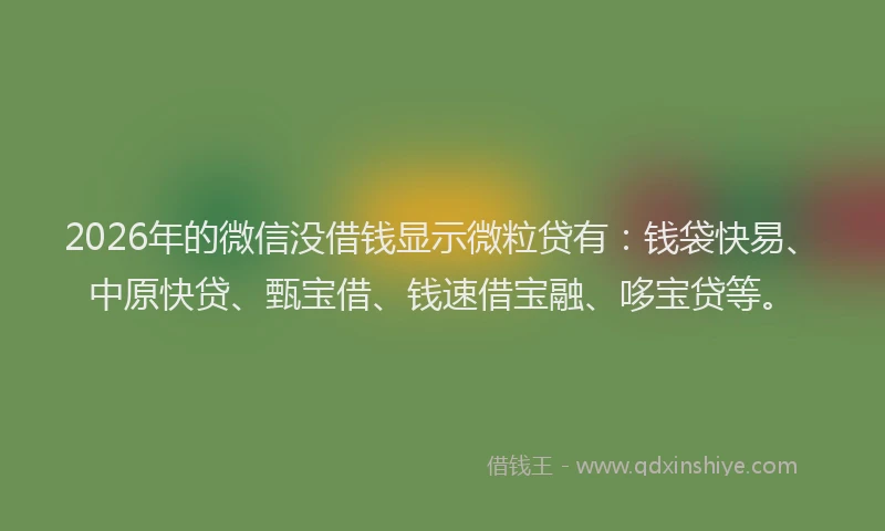 2026年的微信没借钱显示微粒贷有：钱袋快易、中原快贷、甄宝借、钱速借宝融、哆宝贷等。