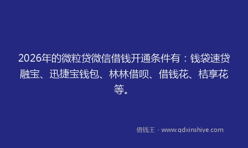 2026年的微粒贷微信借钱开通条件有：钱袋速贷融宝、迅捷宝钱包、林林借呗、借钱花、桔享花等。