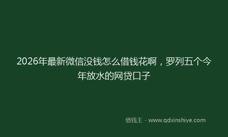2026年最新微信没钱怎么借钱花啊，罗列五个今年放水的网贷口子