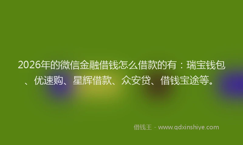 2026年的微信金融借钱怎么借款的有：瑞宝钱包、优速购、星辉借款、众安贷、借钱宝途等。
