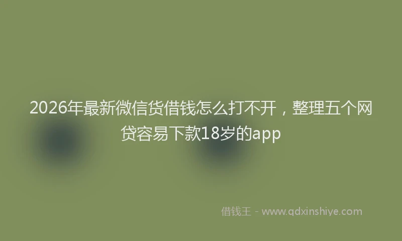 2026年最新微信货借钱怎么打不开，整理五个网贷容易下款18岁的app