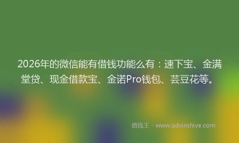 2026年的微信能有借钱功能么有：速下宝、金满堂贷、现金借款宝、金诺Pro钱包、芸豆花等。