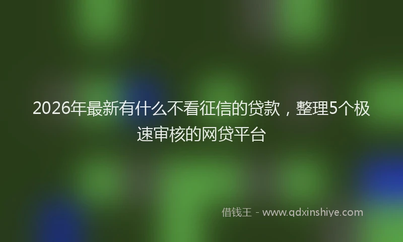 2026年最新有什么不看征信的贷款，整理5个极速审核的网贷平台