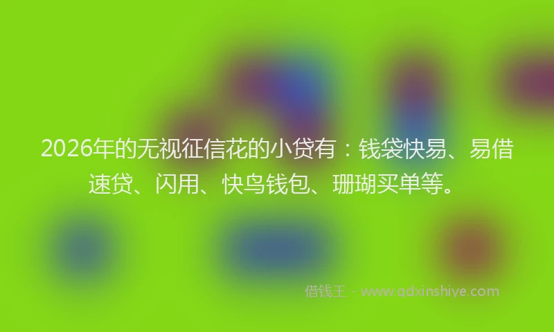 2026年的无视征信花的小贷有：钱袋快易、易借速贷、闪用、快鸟钱包、珊瑚买单等。