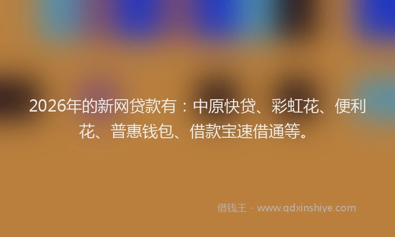 2026年的新网贷款有：中原快贷、彩虹花、便利花、普惠钱包、借款宝速借通等。