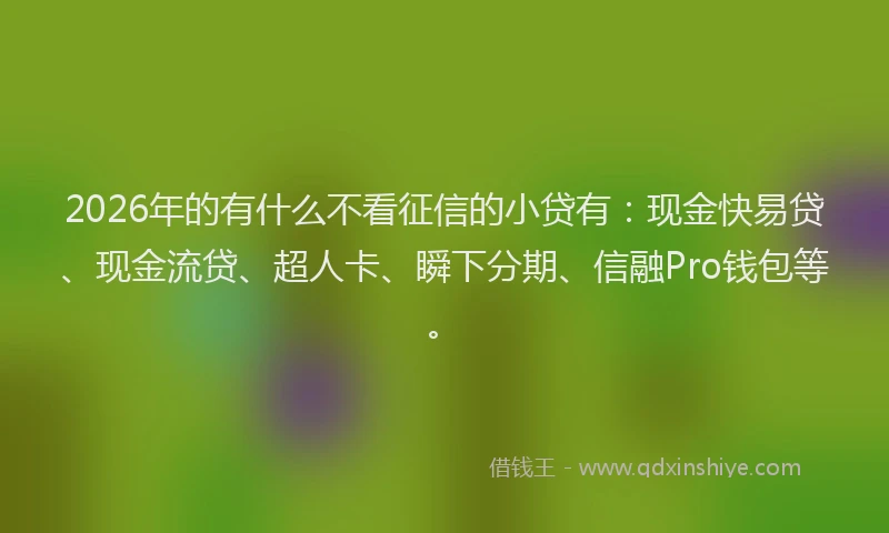 2026年的有什么不看征信的小贷有：现金快易贷、现金流贷、超人卡、瞬下分期、信融Pro钱包等。