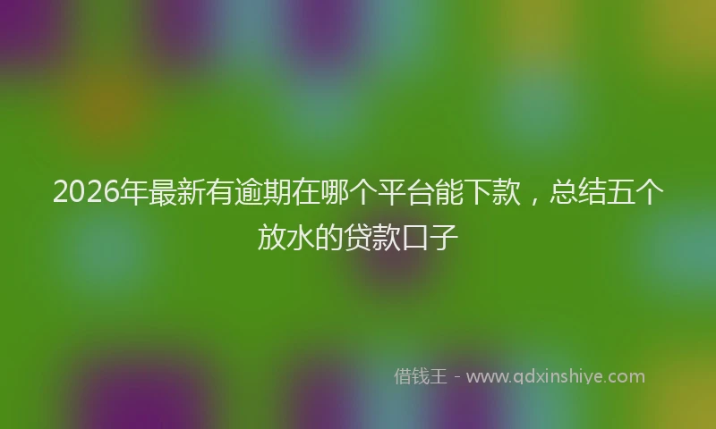 2026年最新有逾期在哪个平台能下款，总结五个放水的贷款口子